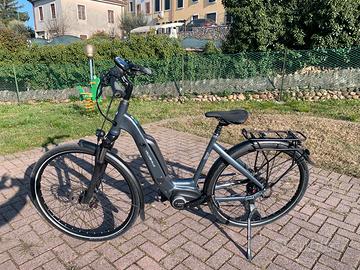 E-Bike Trekking Velo de Ville AEB200 tg 50