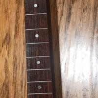 Manico Stratocaster acero/palissandro