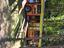 Immagine 18