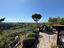 Immagine 29