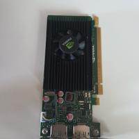 Scheda video Nvidia nvs310