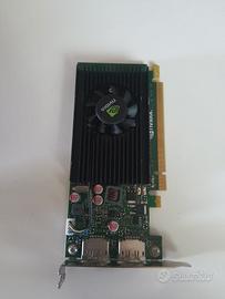 Scheda video Nvidia nvs310