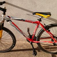 Bicicletta MTB Bottecchia 