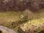 Immagine 14