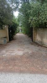 Terreno con villa monte oro