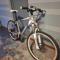 Mountain bike da uomo 