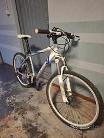 Mountain bike da uomo 