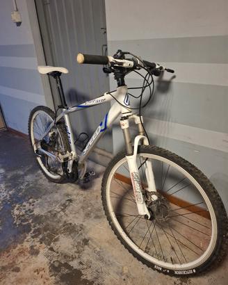 Mountain bike da uomo 
