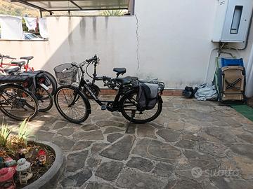 bici elettrica 250w