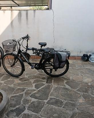 bici elettrica 250w