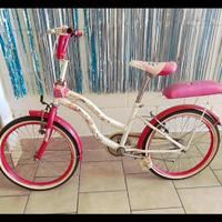 biciclette 