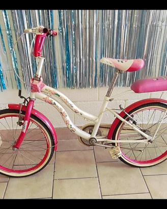 biciclette 