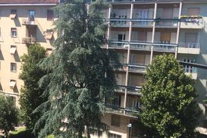 Stanza city life