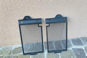 Para radiatore BMW 1200 GS