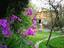 Immagine 28