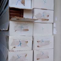 PARQUET