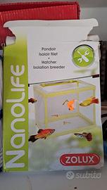 Zolux Nanolife Nursery in rete, una sala parto e i