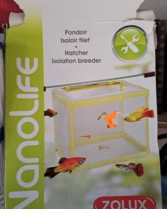 Zolux Nanolife Nursery in rete, una sala parto e i