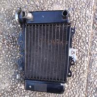 Radiatore