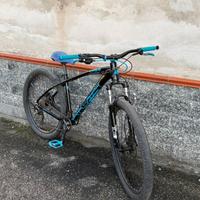 C100 Collective Bikes