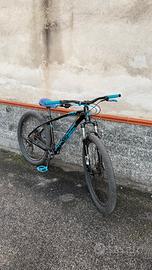 C100 Collective Bikes