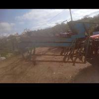 Cernitrice olive con cardano