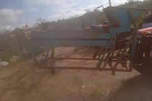 Cernitrice olive con cardano