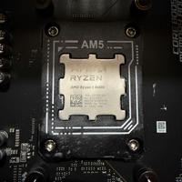 Processore AMD Ryzen 5 8600G