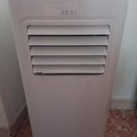 condizionatore e deumidificatore 