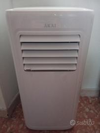 condizionatore e deumidificatore 