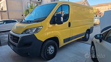 fiat ducato  anno 2017  multijet 2.3  cv 130
