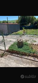 Casa indipendente con giardino