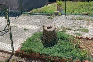 Casa indipendente con giardino
