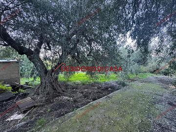 Terreno, Termini Imerese.