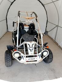 BUGGY PGO BUG RIDER 250