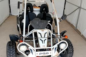 BUGGY PGO BUG RIDER 250