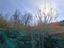 Immagine 12