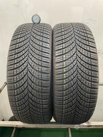 215 45 r20 95t 2 gomme goodyear 4 stagioni