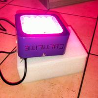 cultilite led 75w