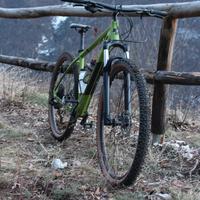 mtb Cube Analog 29 2021