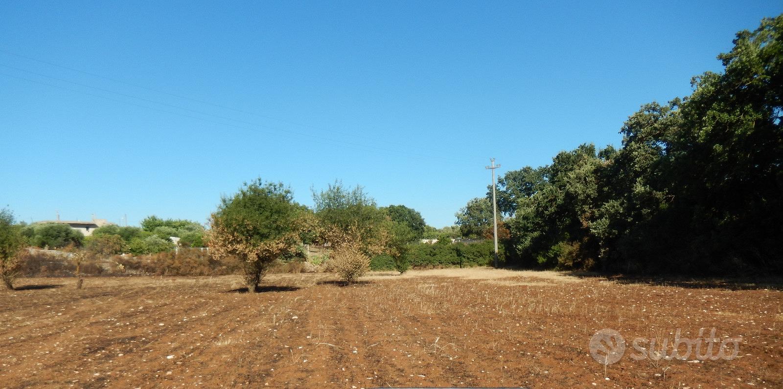 Vendita Casa Rurale + Terreno - Altro