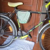 bottecchia 