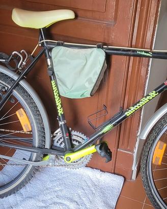 bottecchia 