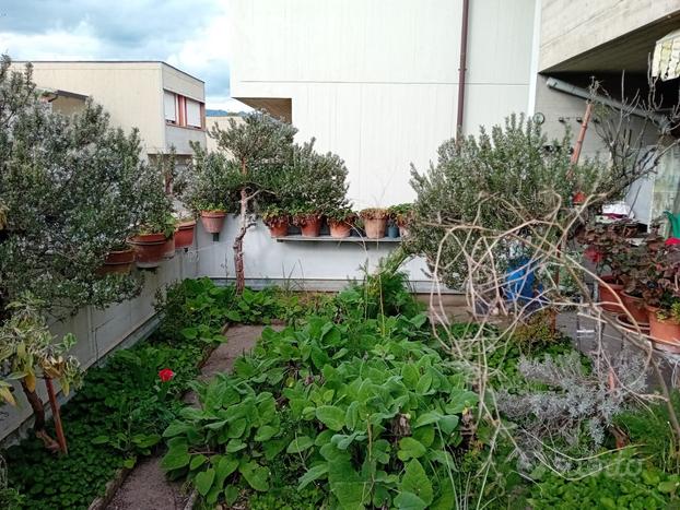 Quartiere Matteotti con terrazzo e posto auto cop