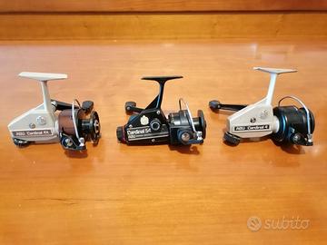 Mulinelli ABU Cardinal