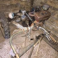 Motofalciatrice - Tagliaerba - Bertolini