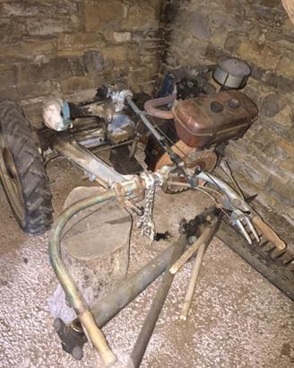 Motofalciatrice - Tagliaerba - Bertolini