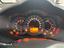 Immagine 7