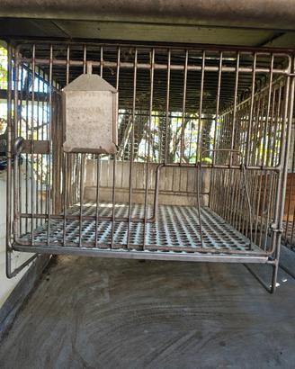 gabbia  per allevamento conigli  in acciaio inox