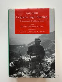1915-1918. La guerra sugli Altipiani.